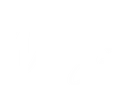 Wizja Studio